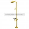 Proguard PG 10000 Combination Unit of ABS Drench Shower And S/S Eyewash Bowl - 1