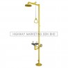 Proguard PG 10001 Combination Unit of ABS Drench Shower and S/S Eyewash Bowl with Foot Pedal - 1