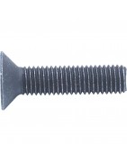 Socket Head Countersunk Screws